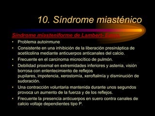 10. Síndrome miasténico
Síndrome miasteniforme de Lambert- Eaton.
• Problema autoinmune
• Consistente en una inhibición de la liberación presináptica de
acetilcolina mediante anticuerpos anticanales del calcio.
• Frecuente en el carcinoma microcítico de pulmón.
• Debilidad proximal en extremidades inferiores y astenia, visión
borrosa con enlentecimiento de reflejos
pupilares, impotencia, xerostomía, xeroftalmía y disminución de
sudoración.
• Una contracción voluntaria mantenida durante unos segundos
provoca un aumento de la fuerza y de los reflejos.
• Frecuente la presencia anticuerpos en suero contra canales de
calcio voltaje dependientes tipo P.
 