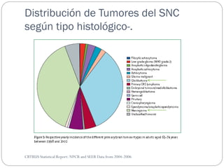 Distribución de Tumores del SNC
según tipo histológico-.
CBTRUS Statistical Report: NPCR and SEER Data from 2004-2006
 