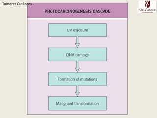 TumoresCutâneos - 