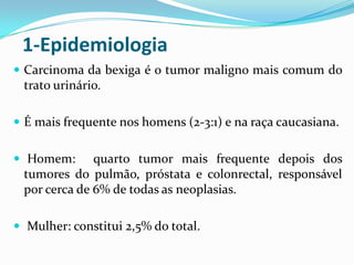 1-Epidemiologia
 Carcinoma da bexiga é o tumor maligno mais comum do
 trato urinário.

 É mais frequente nos homens (2-3:1) e na raça caucasiana.


 Homem:      quarto tumor mais frequente depois dos
 tumores do pulmão, próstata e colonrectal, responsável
 por cerca de 6% de todas as neoplasias.

 Mulher: constitui 2,5% do total.
 