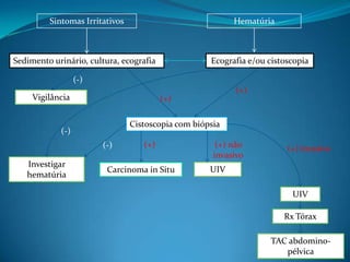 Sintomas Irritativos                             Hematúria



Sedimento urinário, cultura, ecografia              Ecografia e/ou cistoscopia

                  (-)
                                                          (+)
     Vigilância                          (+)

                                Cistoscopia com biópsia
            (-)
                        (-)        (+)                (+) não           (+) invasivo
                                                     invasivo
   Investigar
                         Carcinoma in Situ          UIV
   hematúria

                                                                         UIV

                                                                       Rx Tórax

                                                                   TAC abdomino-
                                                                      pélvica
 