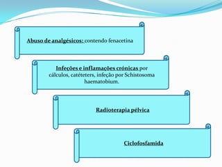 Abuso de analgésicos: contendo fenacetina.



           Infeções e inflamações crónicas por
        cálculos, catéteters, infeção por Schistosoma
                        haematobium.




                           Radioterapia pélvica




                                       Ciclofosfamida
 