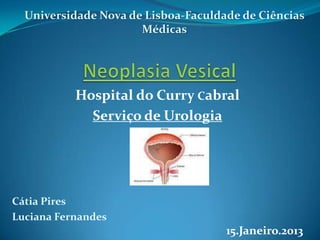 Universidade Nova de Lisboa-Faculdade de Ciências
                      Médicas




           Hospital do Curry Cabral
             Serviço de Urologia




Cátia Pires
Luciana Fernandes
                                     15.Janeiro.2013
 