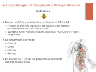 +
Metástasis
 Menos de 3-5% son inducidos por terapia al CA inicial
 Reflejan el grado de exposición del paciente a los factores
predisponentes y el daño que se causó
 Sarcoma: tumor maligno de tejido conjuntivo, musculatura y vasos
sanguíneos
 Se desarrollan a nivel de:
 Cabeza
 Cuello
 Pulmón
 Esófago
 En menos del 10% de los pacientes al momento
del diagnóstico inicial
Histopatología, Carcinogénesis y Biología Molecular
 