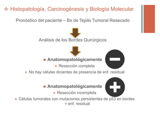 +
Pronóstico del paciente – Bx de Tejido Tumoral Resecado
Análisis de los Bordes Quirúrgicos
 Anatomopatológicamente
 Resección completa
 No hay células dicientes de presencia de enf. residual
 Anatomopatológicamente
 Resección incompleta
 Células tumorales con mutaciones persistentes de p53 en bordes
= enf. residual
Histopatología, Carcinogénesis y Biología Molecular
 