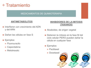 +
ANTIMETABOLITOS
 Interfieren con crecimiento del ADN
y del ARN
 Dañan las células en fase S
 Ejemplos:
 Fluorouracilo
 Capecitabina
 Metotrexato
INHIBIDORES DE LA MITOSIS
(TAXANOS)
 Alcaloides; de origen vegetal
 Detienen la mitosis en la fase M del
ciclo celular PERO pueden dañar la
célula en cualquier fase
 Ejemplos:
 Paclitaxel
 Docetaxel
MEDICAMENTOS DE QUIMIOTERAPIA
Tratamiento
 