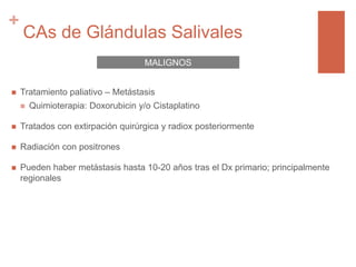 +
CAs de Glándulas Salivales
 Tratamiento paliativo – Metástasis
 Quimioterapia: Doxorubicin y/o Cistaplatino
 Tratados con extirpación quirúrgica y radiox posteriormente
 Radiación con positrones
 Pueden haber metástasis hasta 10-20 años tras el Dx primario; principalmente
regionales
MALIGNOS
 