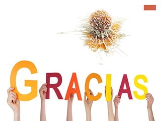 CA/Tumores de Cabeza y Cuello