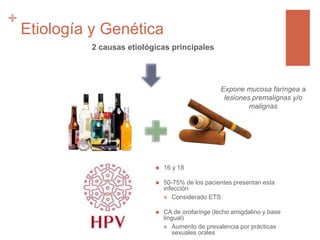 +
Etiología y Genética
 16 y 18
 50-75% de los pacientes presentan esta
infección
 Considerado ETS
 CA de orofaringe (lecho amigdalino y base
lingual)
 Aumento de prevalencia por prácticas
sexuales orales
2 causas etiológicas principales
Expone mucosa faríngea a
lesiones premalignas y/o
malignas
 