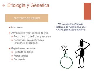 + Etiología y Genética
 Marihuana
 Alimentación y Deficiencias de Vits.
 Poco consumo de frutas y verduras
 Deficiencias de carotenoides
(previenen leucoplasia)
 Exposiciones laborales
 Refinado de níquel
 Fibras textiles
 Carpintería
NO se han identificado
factores de riesgo para los
CA de glándulas salivales
FACTORES DE RIESGO
 