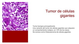Tumor de células
gigantes
Tumor benigno principalmente.
Una variante del tumor de células gigantes que adquiere
un comportamiento maligno, en 10% de los casos.
Se conoce como Osteosarcoma de células gigantes.
 