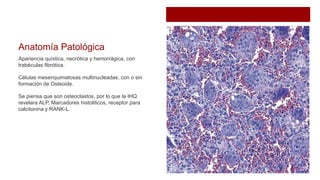 Anatomía Patológica
Apariencia quística, necrótica y hemorrágica, con
trabéculas fibrótica.
Células mesenquimatosas multinucleadas, con o sin
formación de Osteoide.
Se piensa que son osteoclastos, por lo que la IHQ
revelara ALP, Marcadores histoliticos, receptor para
calcitonina y RANK-L.
 