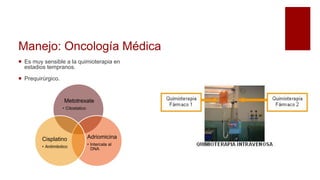 Manejo: Oncología Médica
 Es muy sensible a la quimioterapia en
estadios tempranos.
 Prequirúrgico.
Metotrexate
• Citostatico
Adriomicina
• Intercala al
DNA
Cisplatino
• Antimitotico
 