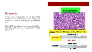 Patogenia
Tienen una translocación en el gen EWS
localizado en el cromosoma 22 y en un gen que
codifica un factor de transcripción de la familia
ETS.
El gen ETS afectado con más frecuencia es FLI1,
formando parte de una translocación (11;22)
(q24;q12).
 