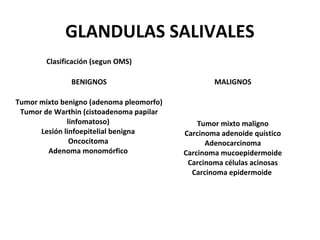 GLANDULAS SALIVALES
Clasificación (segun OMS)
BENIGNOS MALIGNOS
Tumor mixto benigno (adenoma pleomorfo)
Tumor de Warthin (cistoadenoma papilar
linfomatoso)
Lesión linfoepitelial benigna
Oncocitoma
Adenoma monomórfico
Tumor mixto maligno
Carcinoma adenoide quístico
Adenocarcinoma
Carcinoma mucoepidermoide
Carcinoma células acinosas
Carcinoma epidermoide
 