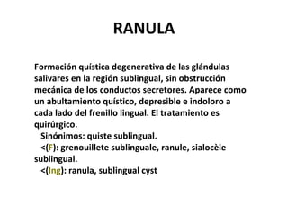 RANULA
Formación quística degenerativa de las glándulas
salivares en la región sublingual, sin obstrucción
mecánica de los conductos secretores. Aparece como
un abultamiento quístico, depresible e indoloro a
cada lado del frenillo lingual. El tratamiento es
quirúrgico.
Sinónimos: quiste sublingual.
<(F): grenouillete sublinguale, ranule, sialocèle
sublingual.
<(Ing): ranula, sublingual cyst
 