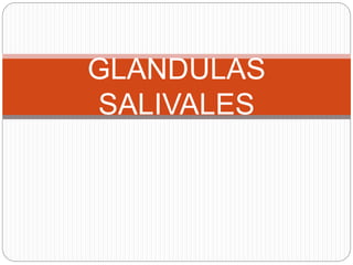 GLANDULAS
SALIVALES
 