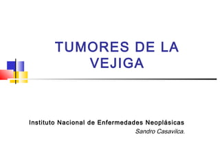 TUMORES DE LA
VEJIGA
Instituto Nacional de Enfermedades Neoplásicas
Sandro Casavilca.
 