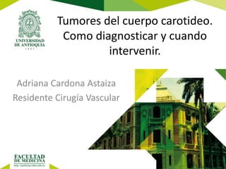 Tumores del cuerpo carotideo.
Como diagnosticar y cuando
intervenir.
Adriana Cardona Astaiza
Residente Cirugía Vascular
 
