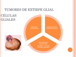 CÉLULAS GLIALES TUMORES DE EXTIRPE GLIAL 