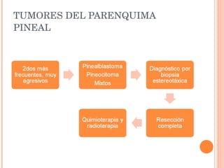 TUMORES DEL PARENQUIMA PINEAL 