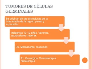 TUMORES DE CÉLULAS GERMINALES 