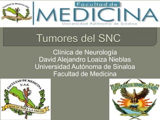 Clínica de Neurología
 David Alejandro Loaiza Nieblas
Universidad Autónoma de Sinaloa
      Facultad de Medicina
 