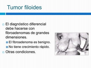 Tumor filoides
 El diagnóstico diferencial
debe hacerse con
fibroadenomas de grandes
dimensiones.
 El fibroadenoma es benigno.
 No tiene crecimiento rápido.
 Otras condiciones.
 