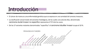 • El cáncer de mama es una enfermedad genética que se expresa en una variedad de tumores invasores.
• La clasificación actual revela 18 variantes histológicas, de las cuales una sola de ellas, denominada
carcinoma ductal invasor no específico representa el 75 % de los casos.
• De las 17 variantes restantes denominadas “específico” el carcinoma lobulillar invasor ocupa el 10 %.
Introducción
 