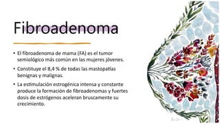 Fibroadenoma
• El fibroadenoma de mama (FA) es el tumor
semiológico más común en las mujeres jóvenes.
• Constituye el 8,4 % de todas las mastopatías
benignas y malignas.
• La estimulación estrogénica intensa y constante
produce la formación de fibroadenomas y fuertes
dosis de estrógenos aceleran bruscamente su
crecimiento.
 