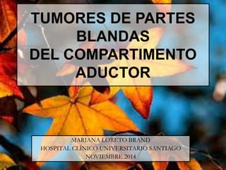 TUMORES DE PARTES
BLANDAS
DEL COMPARTIMENTO
ADUCTOR
MARIANA LORETO BRAND
HOSPITAL CLÍNICO UNIVERSITARIO SANTIAGO
NOVIEMBRE 2014
 