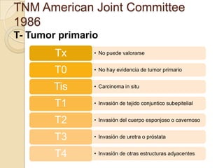 TNM American Joint Committee
1986
T- Tumor primario

Tx

• No puede valorarse

T0

• No hay evidencia de tumor primario

Tis

• Carcinoma in situ

T1

• Invasión de tejido conjuntico subepitelial

T2

• Invasión del cuerpo esponjoso o cavernoso

T3

• Invasión de uretra o próstata

T4

• Invasión de otras estructuras adyacentes

 