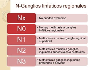 N-Ganglios linfáticos regionales

Nx

• No pueden evaluarse

N0

• No hay metástasis a ganglios
linfáticos regionales

N1

• Metástasis a un solo ganglio inguinal
superficial

N2

• Metástasis a múltiples ganglios
inguinales superficiales o bilaterales

N3

• Metástasis a ganglios inguinales
profundos o pélvicos

 