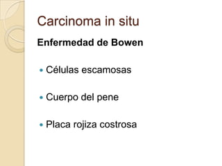 Carcinoma in situ
Enfermedad de Bowen


Células escamosas



Cuerpo del pene



Placa rojiza costrosa

 
