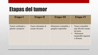 Etapas del tumor
Etapa I Etapa II Etapa III Etapa IV
Tumor confinado a
glande o prepusio
Tumor afectando al
cuerpo del pene
Metastasis extirpable a
ganglios inguinales
• Tumor extendido
mas alla del cuerpo
del pene.
• Metastasis
inoperable inguinal
o distante
 