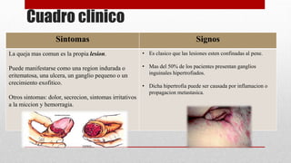Cuadro clinico
Sintomas Signos
La queja mas comun es la propia lesion.
Puede manifestarse como una region indurada o
eritematosa, una ulcera, un ganglio pequeno o un
crecimiento exofitico.
Otros sintomas: dolor, secrecion, sintomas irritativos
a la miccion y hemorragia.
• Es clasico que las lesiones esten confinadas al pene.
• Mas del 50% de los pacientes presentan ganglios
inguinales hipertrofiados.
• Dicha hipertrofia puede ser causada por inflamacion o
propagacion metastasica.
 
