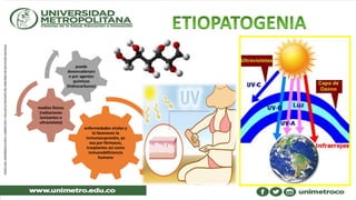 enfermedades virales y
lo favorecen la
inmunosupresión, ya
sea por fármacos,
trasplantes así como
inmunodeficiencia
humana
medios físicos
(radiaciones
ionizantes o
ultravioleta)
puede
desencadenars
e por agentes
químicos
(hidrocarburos)
 