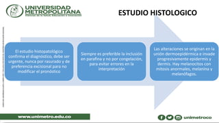 El estudio histopatológico
confirma el diagnóstico, debe ser
urgente, nunca por rasurado y de
preferencia excisional para no
modificar el pronóstico
Siempre es preferible la inclusión
en parafina y no por congelación,
para evitar errores en la
interpretación
Las alteraciones se originan en la
unión dermoepidérmica e invade
progresivamente epidermis y
dermis. Hay melanocitos con
mitosis anormales, melanina y
melanófagos.
ESTUDIO HISTOLOGICO
 