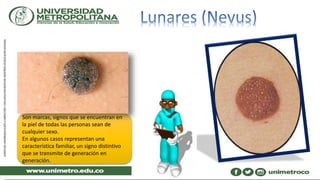 Son marcas, signos que se encuentran en
la piel de todas las personas sean de
cualquier sexo.
En algunos casos representan una
característica familiar, un signo distintivo
que se transmite de generación en
generación.
 