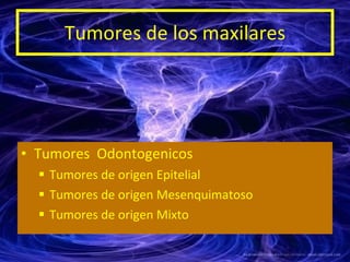 Tumores de los maxilares <ul><li>Tumores  Odontogenicos </li></ul><ul><ul><li>Tumores de origen Epitelial </li></ul></ul><...