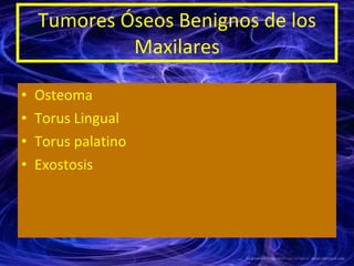 Tumores Óseos Benignos de los Maxilares <ul><li>Osteoma  </li></ul><ul><li>Torus Lingual </li></ul><ul><li>Torus palatino ...