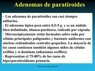 Antonio Ferrández Izquierdo
Adenomas de paratiroides
- Los adenoma de paratiroides son casi siempre
solitarios.
- El adenoma típico pesa entre 0,5-5 g. y es un nódulo
bien delimitado, blanco-parduzco, rodeado por cápsula.
- Microscópicamente están formados sobre todo por
células principales poligonales y bastante uniformes con
núcleos redondeados centrales pequeños. La mayoría de
los casos contienen también algunos nidos de células
oxífilas y si dominan (adenomas oxífilos).
- Representan el 75-80% de los casos de
hiperparatiroidismo primario
 