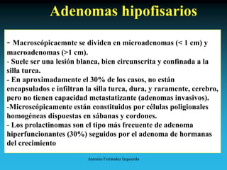 Antonio Ferrández Izquierdo
Adenomas hipofisarios
- Macroscópicaemnte se dividen en microadenomas (< 1 cm) y
macroadenomas (>1 cm).
- Suele ser una lesión blanca, bien circunscrita y confinada a la
silla turca.
- En aproximadamente el 30% de los casos, no están
encapsulados e infiltran la silla turca, dura, y raramente, cerebro,
pero no tienen capacidad metastatizante (adenomas invasivos).
-Microscópicamente están constituidos por células poligionales
homogéneas dispuestas en sábanas y cordones.
- Los prolactinomas son el tipo más frecuente de adenoma
hiperfuncionantes (30%) seguidos por el adenoma de hormanas
del crecimiento
 