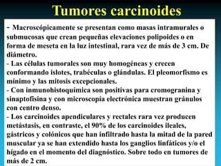 Antonio Ferrández Izquierdo
Tumores carcinoides
- Macroscópicamente se presentan como masas intramurales o
submucosas que crean pequeñas elevaciones polipoides o en
forma de meseta en la luz intestinal, rara vez de más de 3 cm. De
diámetro.
- Las células tumorales son muy homogéneas y crecen
conformando islotes, trabéculas o glándulas. El pleomorfismo es
mínimo y las mitosis excepcionales.
- Con inmunohistoquímica son positivas para cromogranina y
sinaptofisina y con microscopía electrónica muestran gránulos
con centro denso.
- Los carcinoides apendiculares y rectales rara vez producen
metástasis, en contraste, el 90% de los carcinoides ileales,
gástricos y colónicos que han infiltrado hasta la mitad de la pared
muscular ya se han extendido hasta los ganglios linfáticos y/o el
hígado en el momento del diagnóstico. Sobre todo en tumores de
más de 2 cm.
 