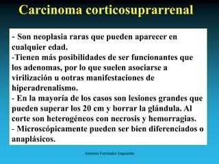 Antonio Ferrández Izquierdo
Carcinoma corticosuprarrenal
- Son neoplasia raras que pueden aparecer en
cualquier edad.
-Tienen más posibilidades de ser funcionantes que
los adenomas, por lo que suelen asociarse a
virilización u ootras manifestaciones de
hiperadrenalismo.
- En la mayoría de los casos son lesiones grandes que
pueden superar los 20 cm y borrar la glándula. Al
corte son heterogéneos con necrosis y hemorragias.
- Microscópicamente pueden ser bien diferenciados o
anaplásicos.
 