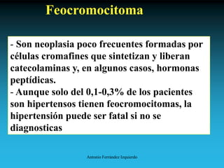 Antonio Ferrández Izquierdo
Feocromocitoma
- Son neoplasia poco frecuentes formadas por
células cromafines que sintetizan y liberan
catecolaminas y, en algunos casos, hormonas
peptídicas.
- Aunque solo del 0,1-0,3% de los pacientes
son hipertensos tienen feocromocitomas, la
hipertensión puede ser fatal si no se
diagnosticas
 