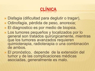CLÍNICA
 Disfagia (dificultad para deglutir o tragar),
 Odinofagia, pérdida de peso, anorexia;
 El diagnostico es por medio de biopsia.
 Los tumores pequeños y localizados por lo
general son tratados quirúrgicamente, mientras
que los tumores avanzados requieren
quimioterapia, radioterapia o una combinación
de ambos.
 El pronóstico, depende de la extensión del
tumor y de las complicaciones médicas
asociadas, generalmente es malo.
 
