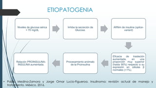 ETIOPATOGENIA
Niveles de glucosa sérica
< 70 mg/dL
Inhibe la secreción de
Glucosa.
ARNm de insulina (splice-
variant)
Eficacia de traslación
aumentada, en una
proporción muy superior
(hasta 90%) respecto a su
expresión en células β
normales (<1%).
Procesamiento anómalo
de la Proinsulina
Relación PROINSULINA-
INSULINA aumentada.
• Pablo Medina-Zamora y Jorge Omar Lucio-Figueroa. Insulinoma: revisión actual de manejo y
tratamiento. México, 2016.
 