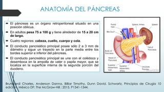 ANATOMÍA DEL PÁNCREAS
´ El páncreas es un órgano retroperitoneal situado en una
posición oblicua.
´ En adultos pesa 75 a 100 g y tiene alrededor de 15 a 20 cm
de largo.
´ Cuatro regiones: cabeza, cuello, cuerpo y cola.
´ El conducto pancreático principal posee sólo 2 a 3 mm de
diámetro y sigue un trayecto en la parte media entre los
bordes superior e inferior del páncreas.
´ El conducto pancreático principal se une con el colédoco y
desemboca en la ampolla de vater o papila mayor, que se
localiza en la superficie interna de la segunda porción del
duodeno.
Brunicardi Charles, Anderson Danna, Billiar Timothy, Dunn David. Schwartz, Principios de Cirugía 10
edición. México DF: The McGraw-Hill ; 2015. P1341-1344.
 