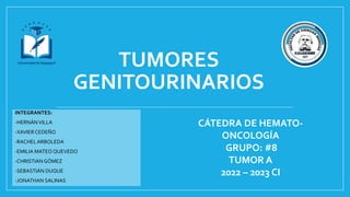 CÁTEDRA DE HEMATO-
ONCOLOGÍA
GRUPO: #8
TUMOR A
2022 – 2023 CI
INTEGRANTES:
-HERNÁNVILLA
-XAVIER CEDEÑO
-RACHEL ARBOLEDA
-EMILIA MATEO QUEVEDO
-CHRISTIAN GÓMEZ
-SEBASTIÁN DUQUE
-JONATHAN SALINAS
TUMORES
GENITOURINARIOS
 